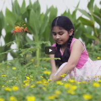 Bashundhara Paper Mills Ltd. (Documentary 2018)