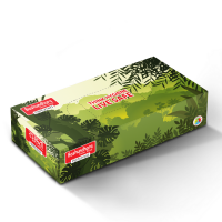 Bashundhara Facial Tissue (30 pcs X 2 ply, Perfumed)