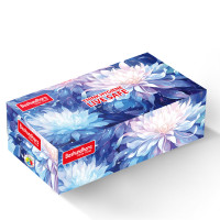 Bashundhara Facial Tissue (120 pcs X 2 ply, Non-perfumed)