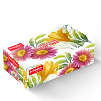 Bashundhara Facial Tissue (100 pcs X 2 ply, Non-perfumed)