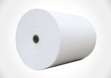 MG Paper (Jumbo Roll)