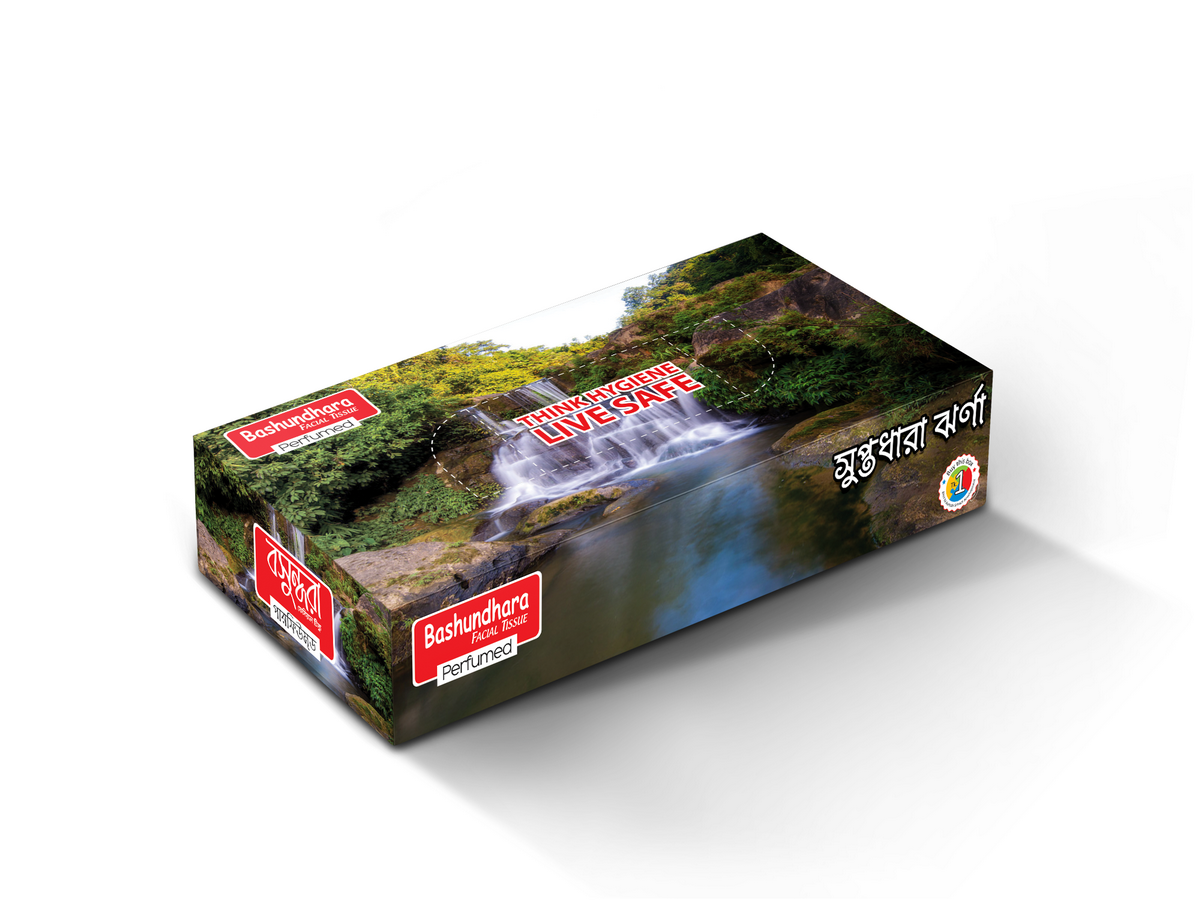 Bashundhara Facial Tissue (60 pcs X 2 ply, Perfumed)
